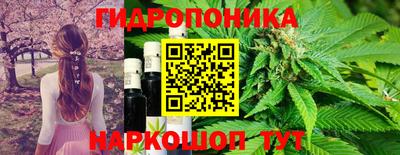 Альфа ПВП Лесосибирск