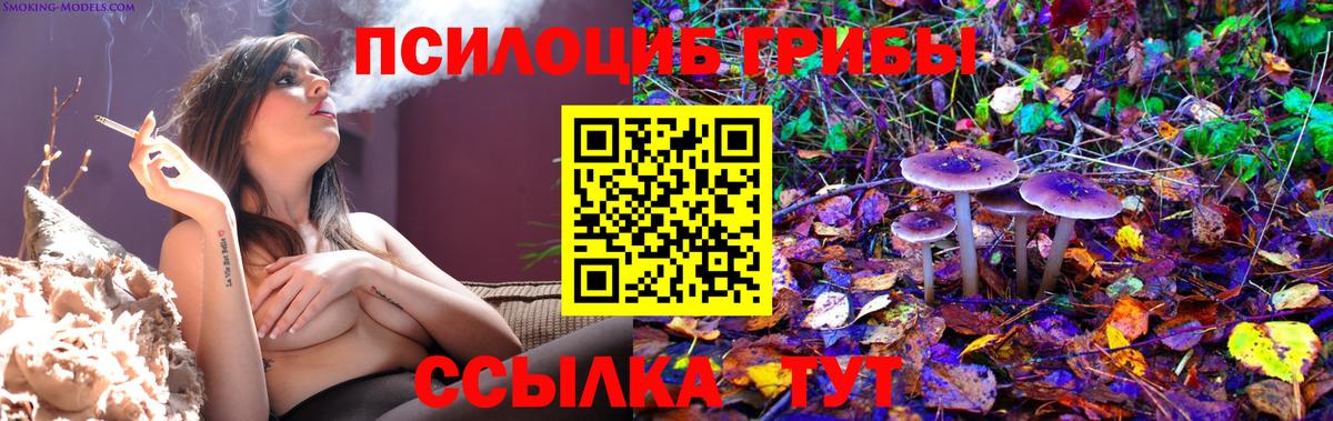 Галлюциногенные грибы MAGIC MUSHROOMS  Псилоцибиновые грибы Psilocybe  Вход с VPN  Углич 